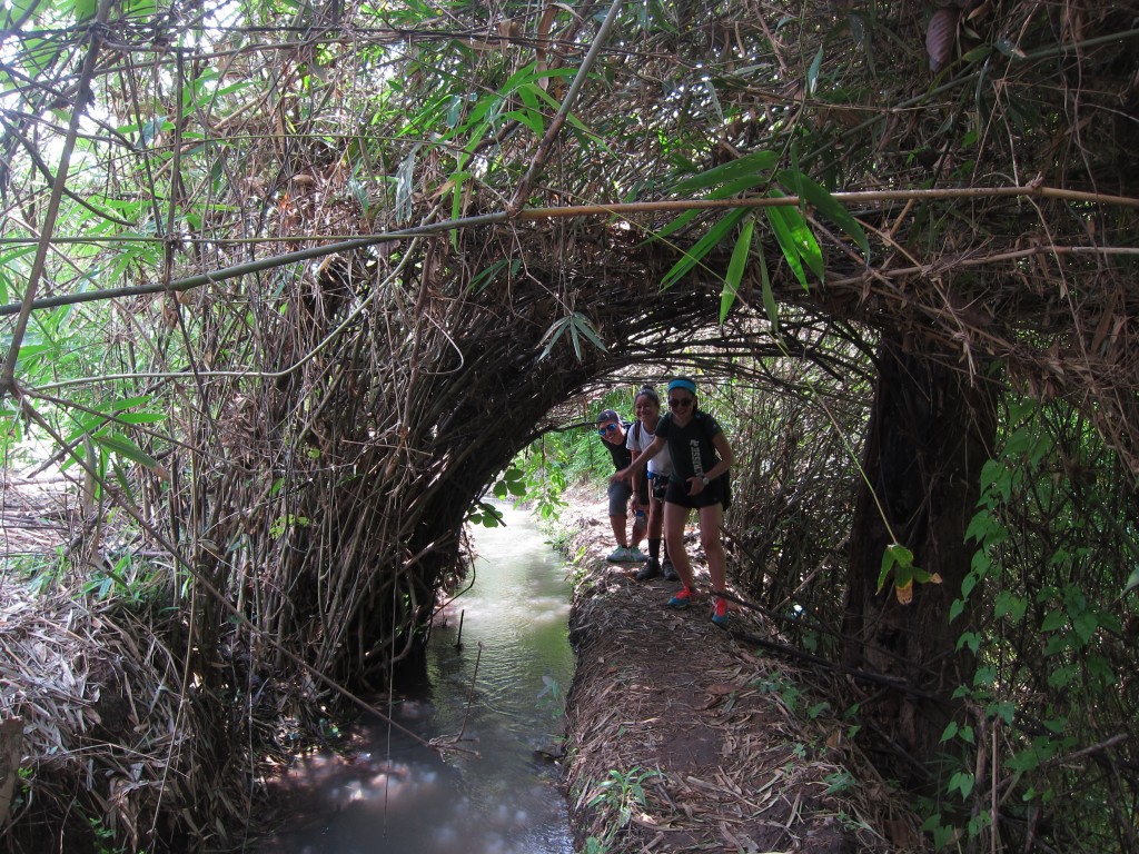 Bamboo covered our path at different points throughout the trek! 