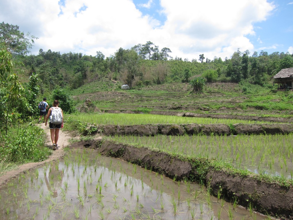 We hiked along small ridges separating terraced rice paddies as we made our way to the waterfall.  